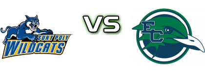 Suny Polytech Wildcats - Endicott Gulls head to head game preview and prediction