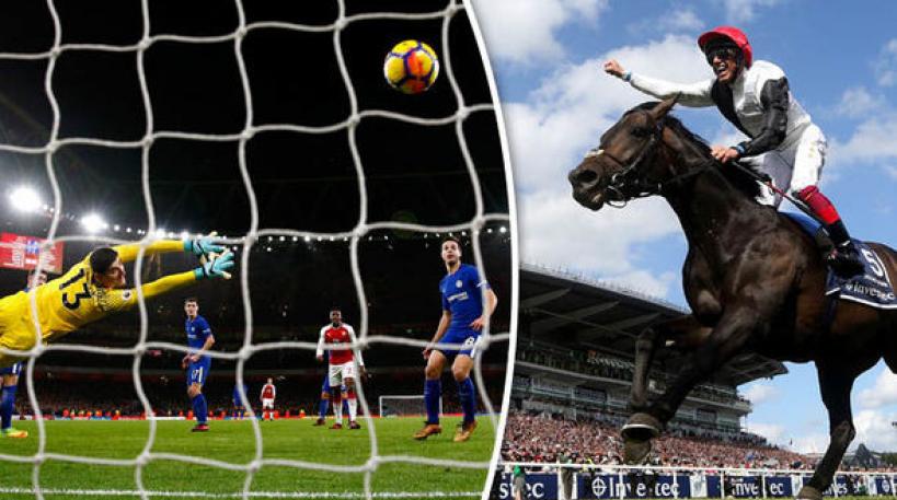 What is the Most Popular Sport in the World? Football or Horse Racing?