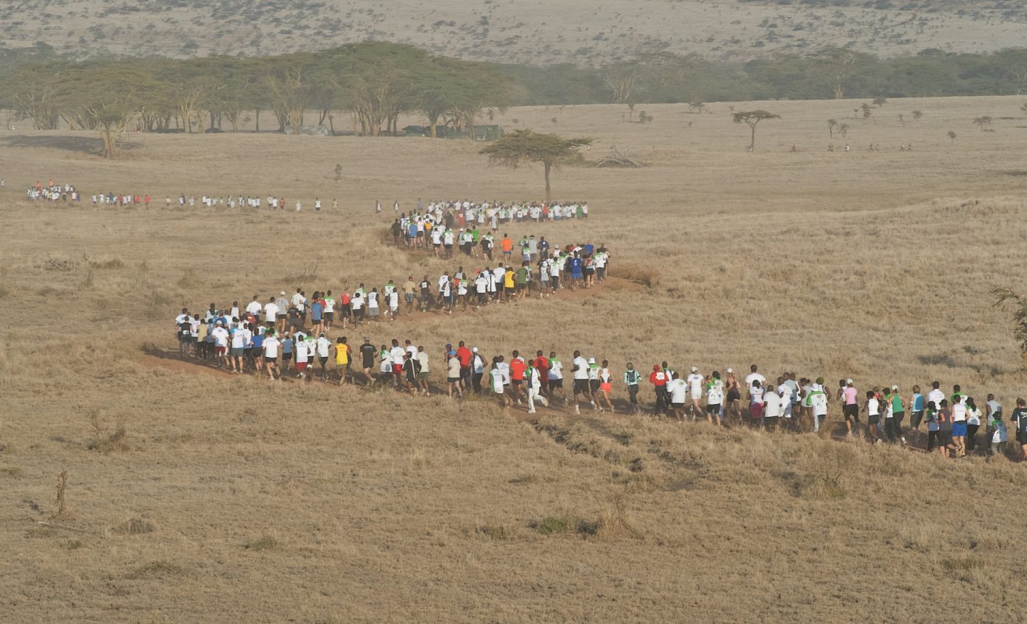 Conservation through Sport: Kenya's Efforts in Wildlife and Environmental Sports Initiatives