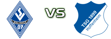 Mannheim - Hoffenheim II detalji utakmice i statistika