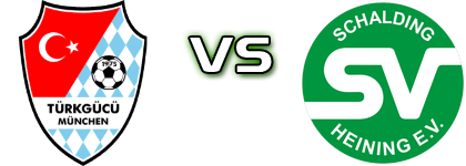 Türkgücü-München - Schalding-H. Spiel Prognosen und Statistiken