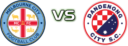Melbourne City Y. - Dandenong City Spiel Prognosen und Statistiken