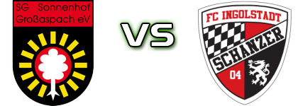 Großaspach - Ingolstadt Statistiche e dettagli partita
