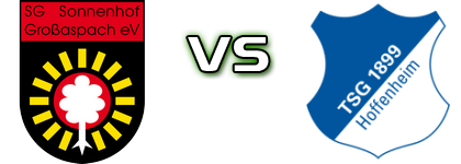 Großaspach - Hoffenheim II Statistiche e dettagli partita