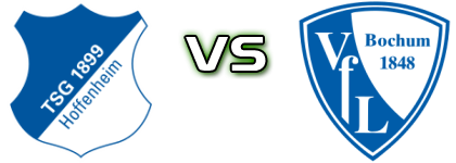 Hoffenheim - Bochum Spiel Prognosen und Statistiken