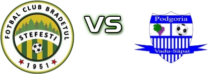 Brădetul Ştefeşti - Podgoria Vadu Săpat Detalji meca I statistika.