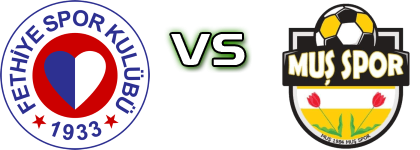 Fethiyespor - Muş 1984 Muşspor head to head game preview and prediction