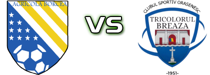 FC Agricola Borcea - Tricolorul Breaza head to head game preview and prediction