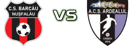 Barcău Nușfalău - Ardealul Crișeni детайли и статистика