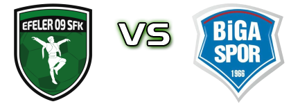 Efeler 09 SFK - Bigaspor Statistiche e dettagli partita