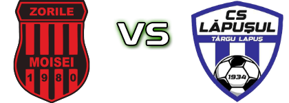 Zorile Moisei - Lăpușul Târgu Lăpuș Spiel Prognosen und Statistiken Zorile Moisei - Lăpușul Târgu Lăpuș Spiel Prognosen und Statistiken