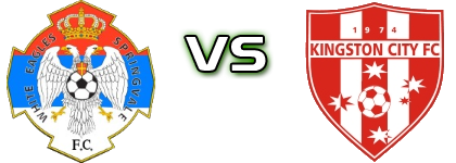 Springvale White Eagles - Kingston City Statistiche e dettagli partita