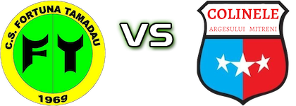 Fortuna Tămădău - Colinele Argeșului Mitreni head to head game preview and prediction