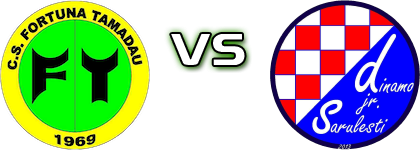 Fortuna Tămădău - Dinamo Sărulești head to head game preview and prediction Fortuna Tămădău - Dinamo Sărulești head to head game preview and prediction