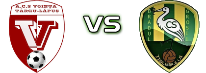 Voința Târgu Lăpuș - Bradul Groșii Țibleșului Spiel Prognosen und Statistiken