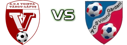 Voința Târgu Lăpuș - Viitorul Gârdani head to head game preview and prediction