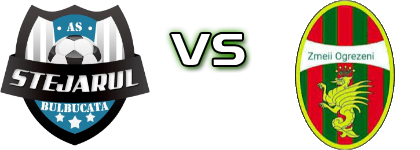 AS Stejarul Bulbucata - Zmeii детайли и статистика