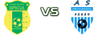 Spicul Bucerdea - Progresul Fărău head to head game preview and prediction