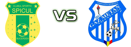 Spicul Bucerdea - Gaz Metan Valea Lungă head to head game preview and prediction
