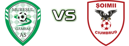 Mureșul Gâmbaș - Șoimii Ciumbrud детайли и статистика Mureșul Gâmbaș - Șoimii Ciumbrud детайли и статистика
