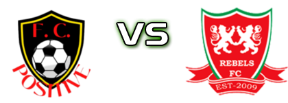 Positive - Rebels Detalles y estadisticas