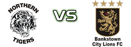 Northern Tigers - Bankstown City head to head game preview and prediction