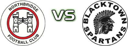 Northbridge Bulls - Blacktown Spartans FC head to head game preview and prediction