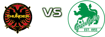 Dandenong Thunder SC - Green Gully Statistiche e dettagli partita