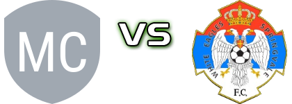 Malvern City FC - Springvale White Eagles Detalji meca I statistika.