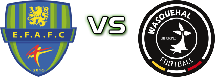 Feignies/Aulnoye - Wasquehal head to head game preview and prediction