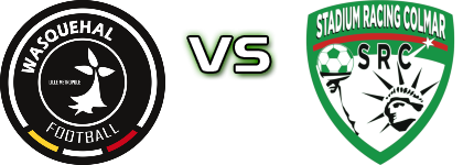 Wasquehal - SRC head to head game preview and prediction