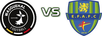 Wasquehal - Feignies/Aulnoye Statistiche e dettagli partita
