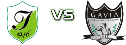 Ina Goleniów - Gavia Choszczno Statistiche e dettagli partita