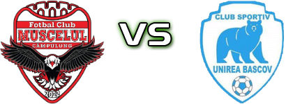 Muscelul Câmpulung  - Unirea Bascov детайли и статистика