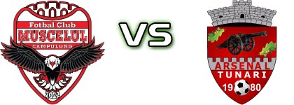 Muscelul Câmpulung  - Tunari Detalji meca I statistika.