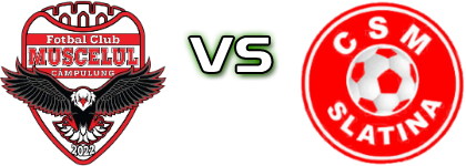 Muscelul Câmpulung  - CSM Slatina Detalji meca I statistika.