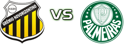 Novorizontino - Palmeiras head to head game preview and prediction