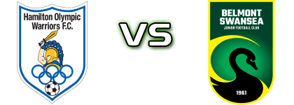 Newcastle - Belmont Swansea United FC Statistiche e dettagli partita Newcastle - Belmont Swansea United FC Statistiche e dettagli partita