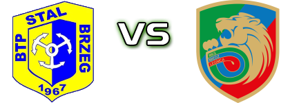 Stal Brzeg - Miedź II Statistiche e dettagli partita