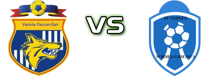 Voința Făurei Sat - Voința Surdila Găiseanca Statistiche e dettagli partita