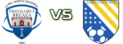 Tricolorul Breaza - FC Agricola Borcea Statistiche e dettagli partita