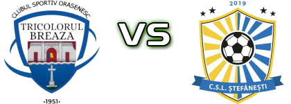 Tricolorul Breaza - Stefanestii  Statistiche e dettagli partita