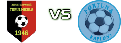 Turul - Fortuna Statistiche e dettagli partita