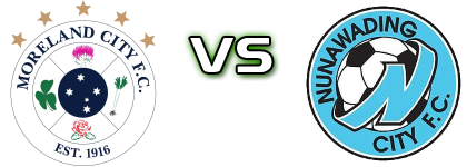 Moreland City FC - Nunawading City Detalles y estadisticas