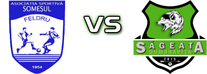 Somesul Feldru  - Sageata  Detalji meca I statistika.