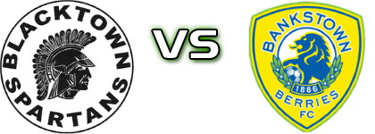 Spartans - Bankstown Berries FC head to head game preview and prediction Spartans - Bankstown Berries FC head to head game preview and prediction