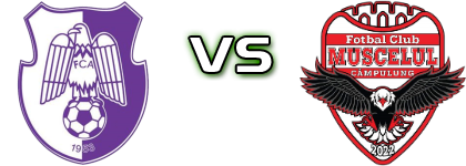 FC Argeş - Muscelul Câmpulung Statistiche e dettagli partita FC Argeş - Muscelul Câmpulung Statistiche e dettagli partita