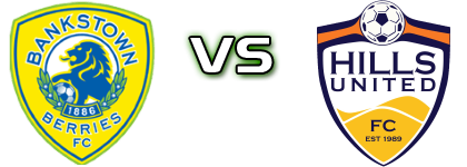 Bankstown Berries FC - Hills United Spiel Prognosen und Statistiken