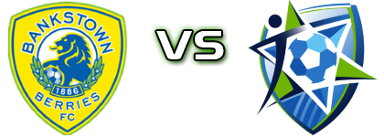 Bankstown Berries FC - Hakoah head to head game preview and prediction Bankstown Berries FC - Hakoah head to head game preview and prediction