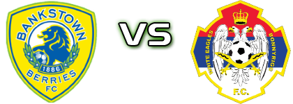 Bankstown Berries FC - Bonnyrigg детайли и статистика Bankstown Berries FC - Bonnyrigg детайли и статистика